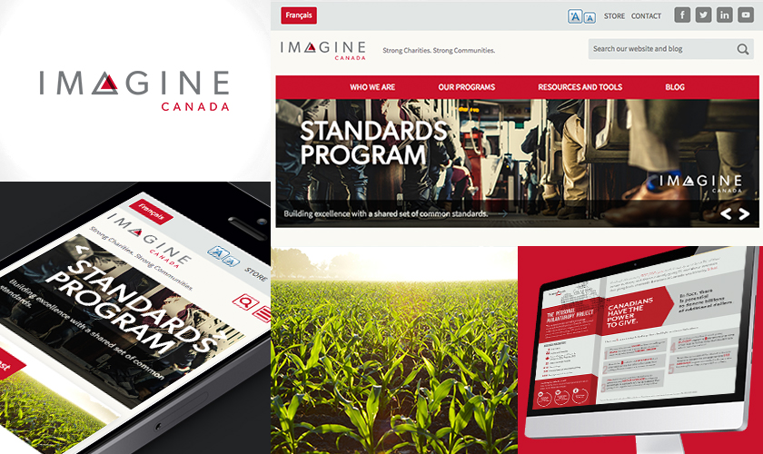 Examples of the Imagine Canada website
